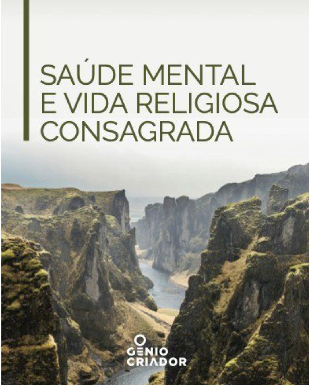 Capa do livro Saúde mental e vida religiosa